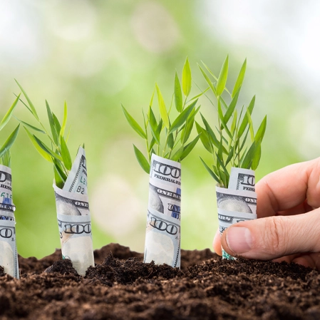 Money wrapped around plants growing from the ground